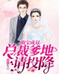萌宝成双总裁爹地不好惹