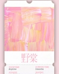 野棠 小说讲的什么