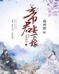 至尊神医之帝君要下嫁
