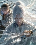 命运长夜小说