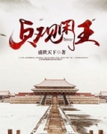 有声小说贞观闲王