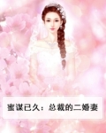 二婚成宠;总裁缠爱不休