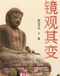 镜观其变TXT下载