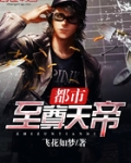 都市至尊天帝 飞花如梦
