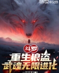 斗罗重生狼盗武魂无限进化笔趣阁