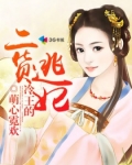 冷王的二货逃妃