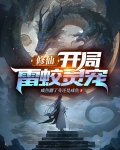 修仙小说主角是雷灵根