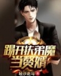 踢开扶弟魔当赘婿小说