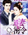 追妻密令