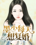 墨少每天想复婚墨西城