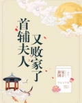 首辅夫人又败家了
