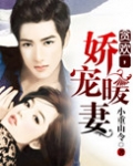 贪欢小说virtuo
