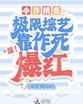 惊!小作精在极限综艺靠作死爆红小说