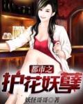 都市之护花妖孽女主