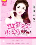 妖孽老公的圈宠 小说