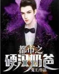 都市之硬汉奶爸