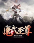 魔武至尊实体