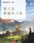 遮天之我是小石头全文免费阅读