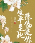 生平至此悲伤是你琉裳沧澜