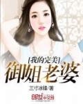 我的完美御姐老婆 三寸冰锋