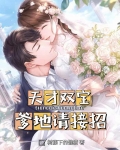 天才双宝:爹地请接招 笔趣阁