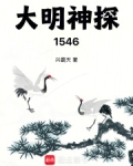 大明神探1546起点