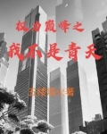 权力巅峰之我不是青天天最新