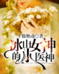 冰山女神的小医神全文免费阅读