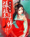 御夜狂魔:摄政王,缠不停