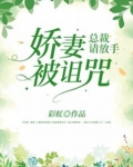 娇妻难惹:总裁请签收