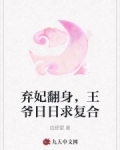 弃妃翻身，王爷日日求复合