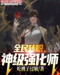 全民转职,神级强化师