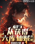 斗破,从获得六库仙贼开始的小说