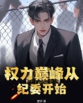 权力巅峰是什么样的书