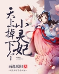 小说天上掉下个小娘子