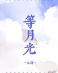 等月光木甜小说全文免费阅读