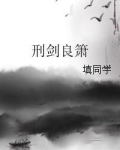 刑剑锋 坐庄结局