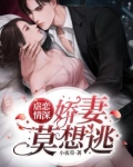 虐妻小说排行榜