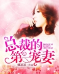 总裁的第一宠妻全文阅读