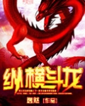 纵横斗龙
