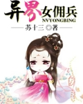 异界佣兵的小说