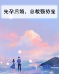 先婚后爱总裁有孕了全文阅读