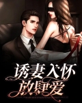 诱妻入怀深度爱
