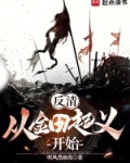 反清:从金田起义开始(1-138)