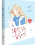 撞见你的心陆舟小说全文免费阅读