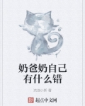 奶爸奶自己有什么错小说下载