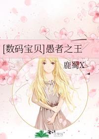 数码宝贝愚者之王