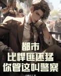都市:比悍匪还猛,你管这叫警察吗