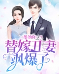 墨少的替嫁私宠 小说