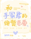 手冢vs